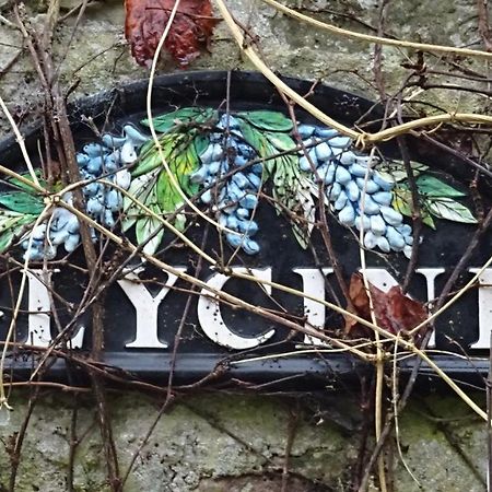 Le Glycine A Manoir Sainte Cecile Apartment Juvigny-Val-d'Andaine Exterior foto